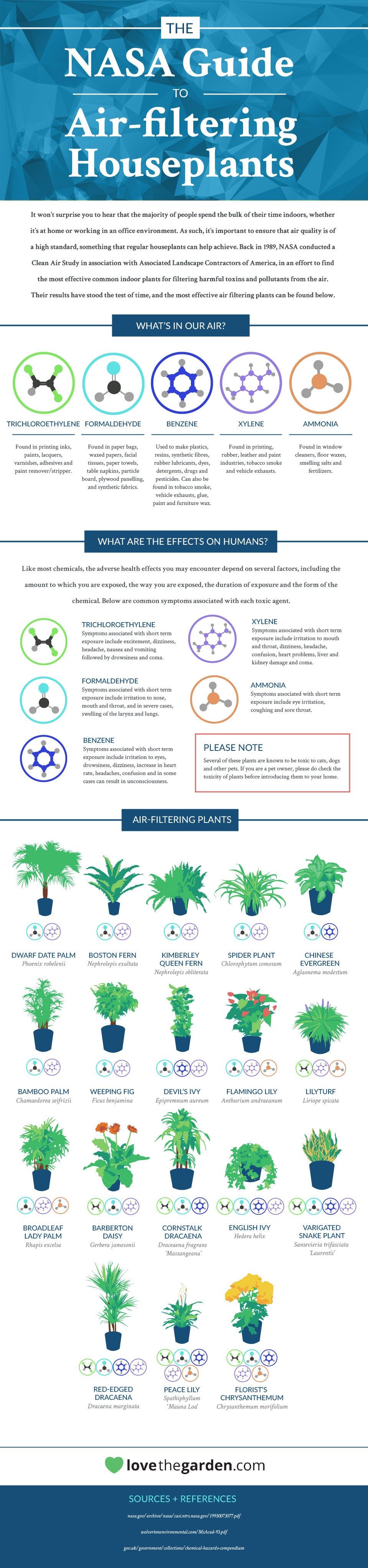 The NASA Guide to Air-filtering Houseplants